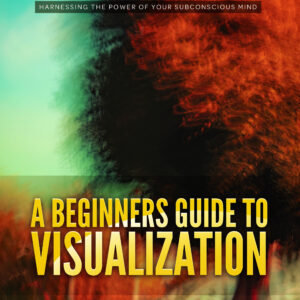 A Beginner's Guide to Visualization